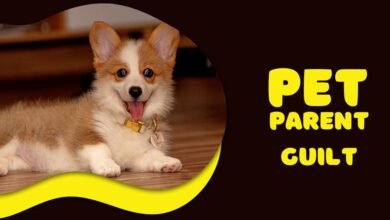 Pet Parent Guilt