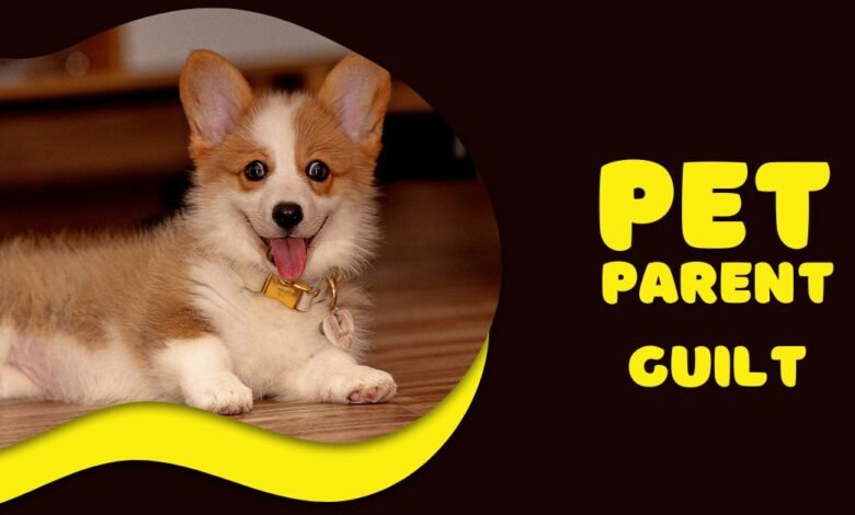 Pet Parent Guilt